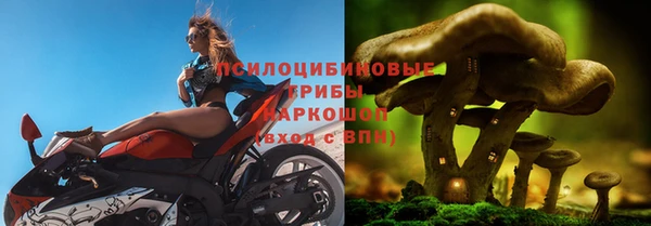 ешки Надым