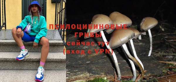 ешки Надым