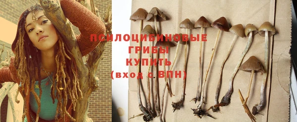 ешки Надым